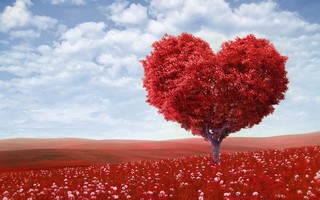 Valentines_Day 120.jpg